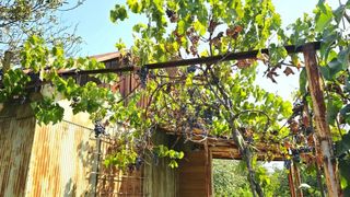 Парцел Продажби, Русе (3)