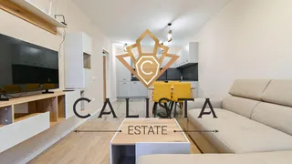 Two-bedroom Rentals, Mladost 4, Sofia (3)
