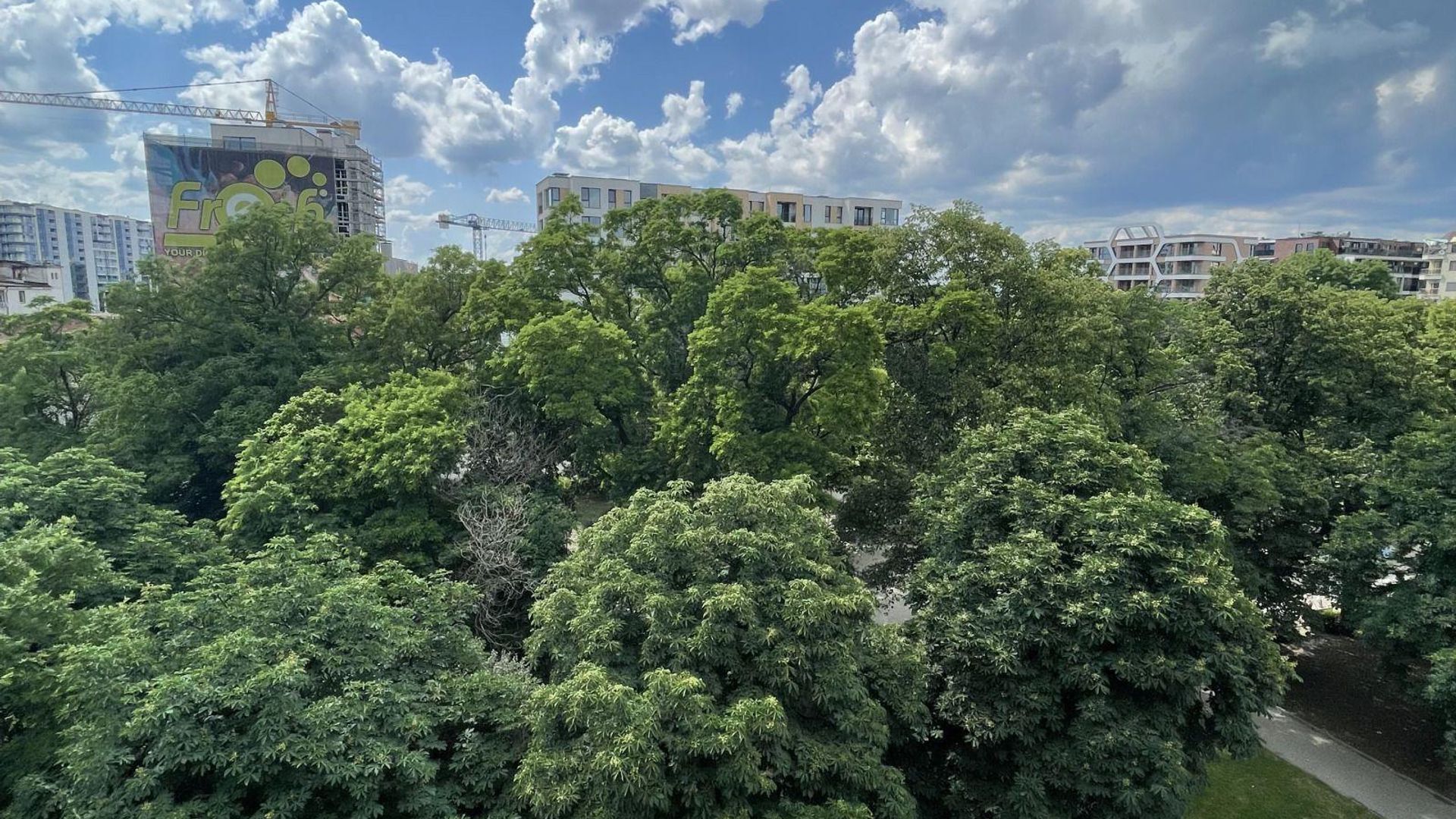 image_1784283773448_7495916790498449.jpeg