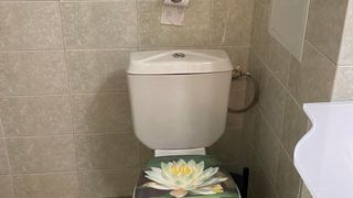 Dos dormitorios Alquileres, Zona B-19, Sofía (8)