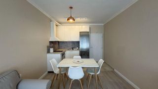 Dreizimmerwohnung Verleih, Lutschtabletten, Sofia (2)