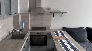 Two-bedroom Rentals, Razsadnika, Sofia (3)