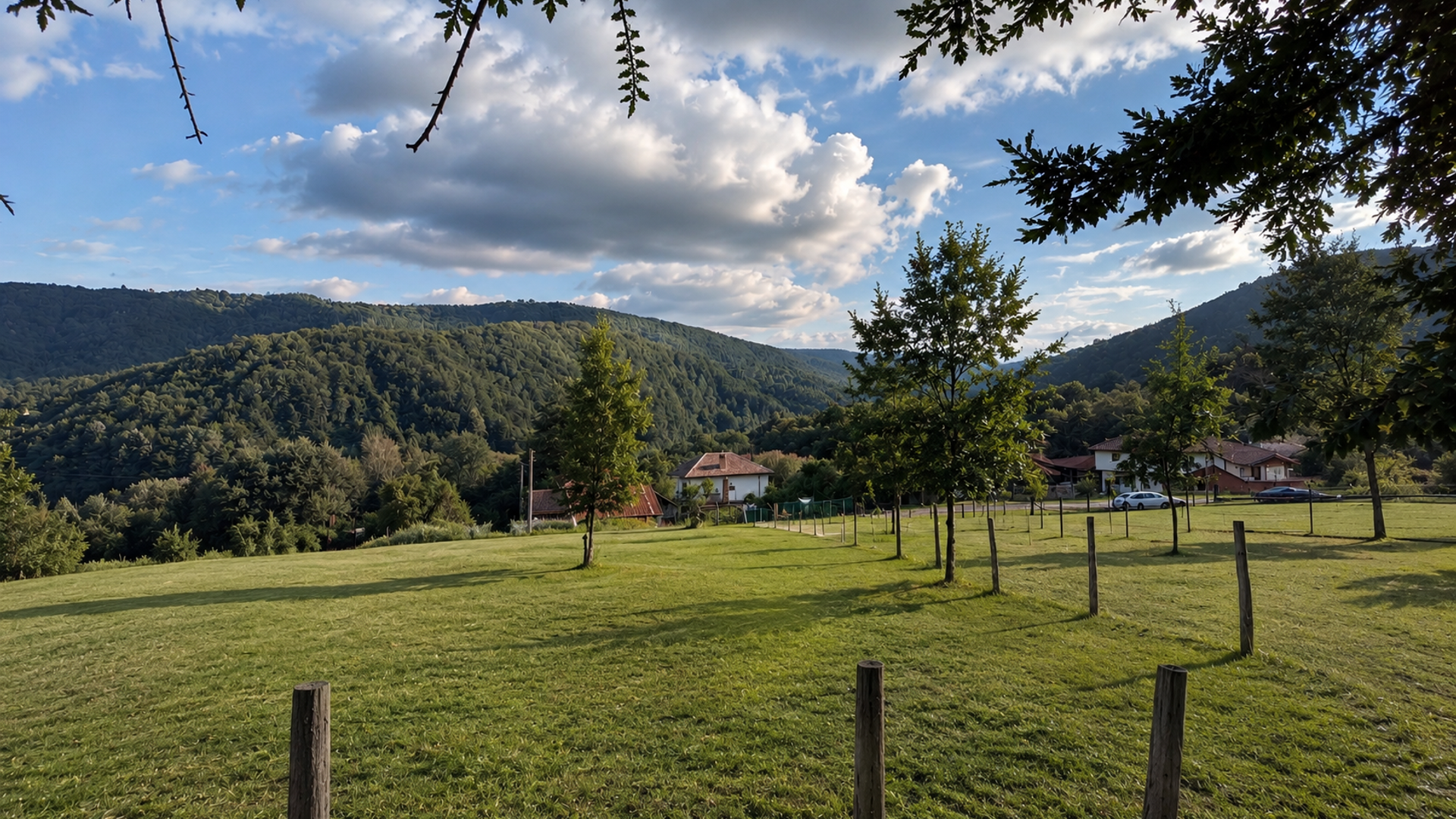 image_1784402866299_42458140917460774.png