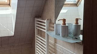 Тристаен Наеми, Борово, София (3)