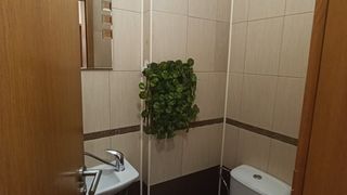 Тристаен Наеми, Борово, София (10)